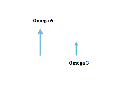 hvorfor fiskeolie - Balance mellem Omega 6 og Omega 3