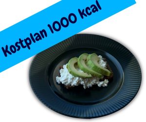 kostplan-1000-kcal